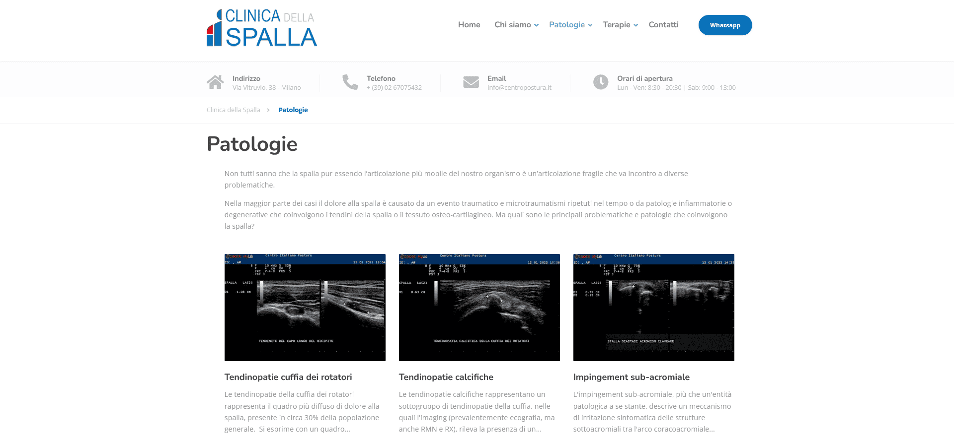 Categorie patologie della spalla con descrizioni